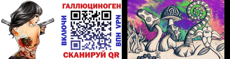 darknet наркотические препараты  Волхов  Псилоцибиновые грибы GOLDEN TEACHER 