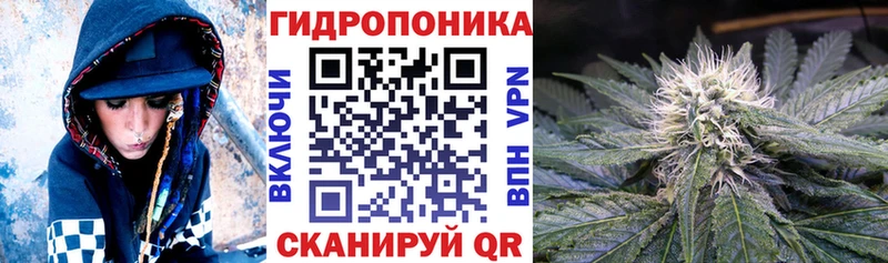 Канабис SATIVA & INDICA Волхов